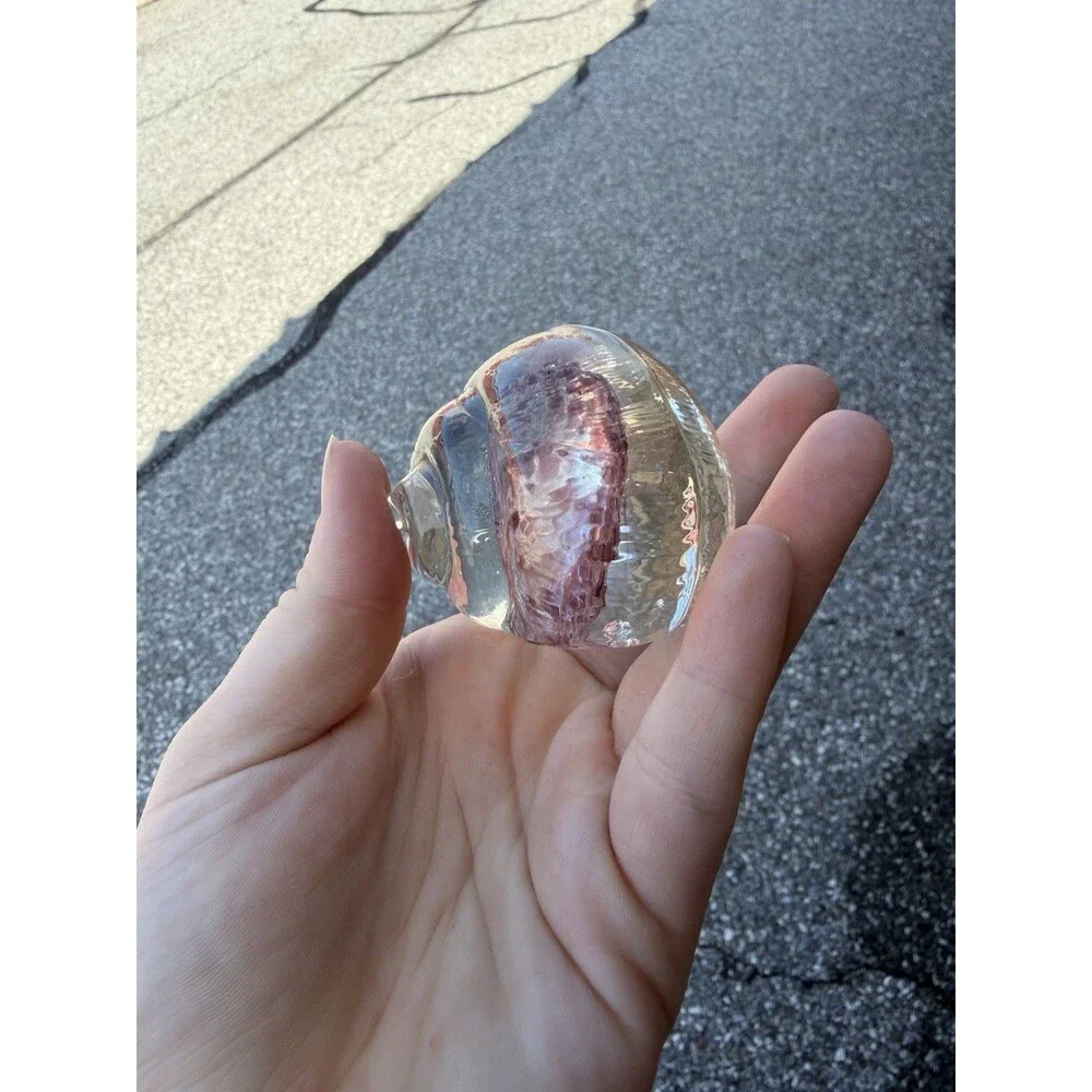 Vintage SeaShell Shaped Paperweight Clear 3